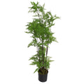 150cm Artificial Natural Moss Base Fern Foliage Plant with Leaf Detail