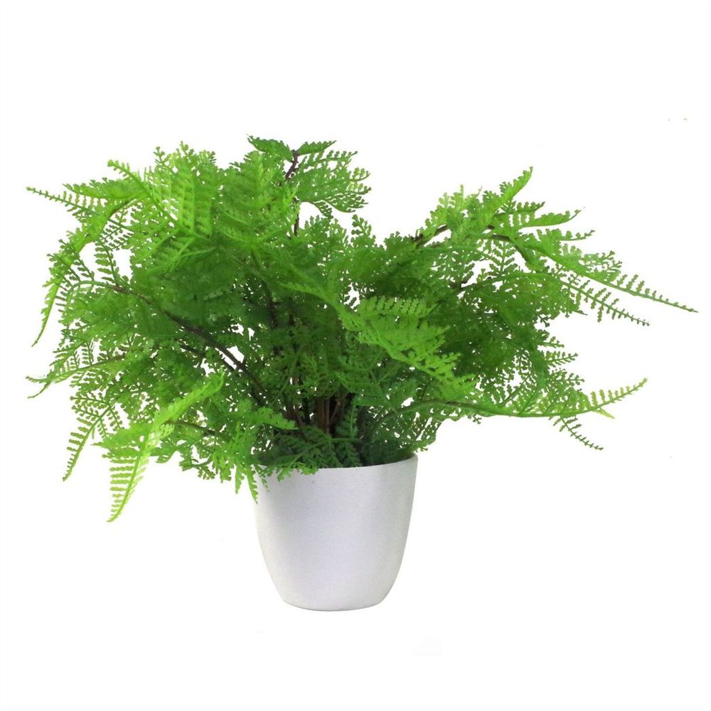 Wood Pack of 3 x 30cm Artificial Ferns - Southern Wood - Lady and Royal - Potted