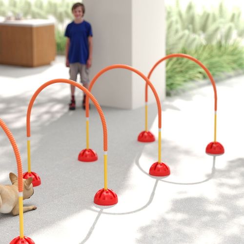 4 Piece Dog Agility Training Equipment with Carry Bag, Orange