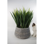 22cm x 37cm Large Grey Gliese Embossed Planter
