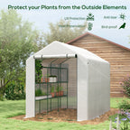Walk-in Garden Greenhouse Shelves Polytunnel Steeple Grow House