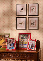 Duck IV Framed Print- The Prettiest By Far