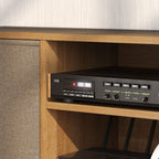 Modern TV Cabinet Stand w/ Shelves & Drawers, Bedroom